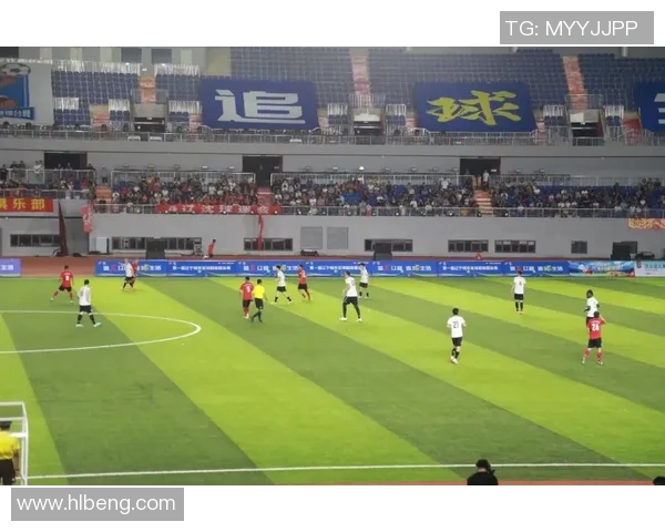 室内足球场的魅力与发展潜力探讨及其对青少年体育的影响分析