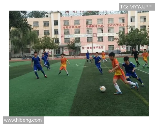 足球冠军感言：拼搏与团结铸就辉煌时刻的心声与感悟